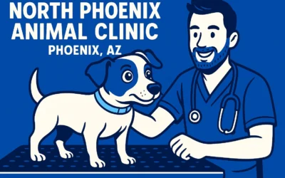 North Phoenix Animal Clinic: Warm, Compassionate Care with Veterinary Expertise